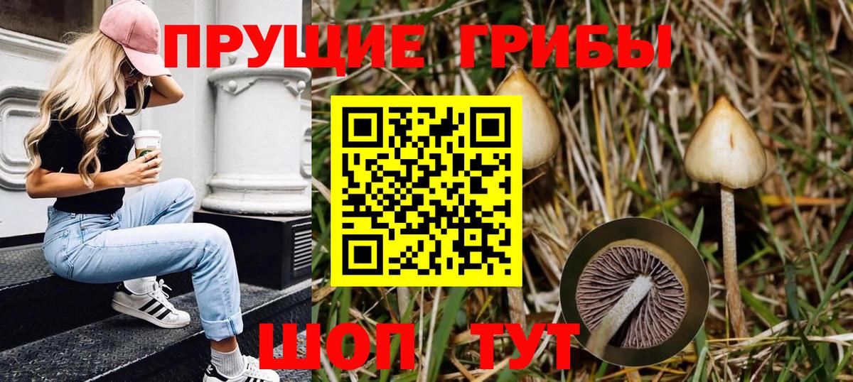 Псилоцибиновые грибы Magic Shrooms  Вход с VPN  Галлюциногенные грибы Magic Shrooms  Одинцово 