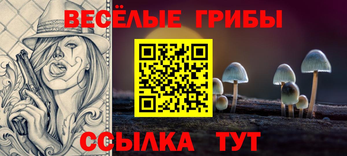 Псилоцибиновые грибы Cubensis Одинцово